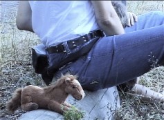 Even Cowgirls …